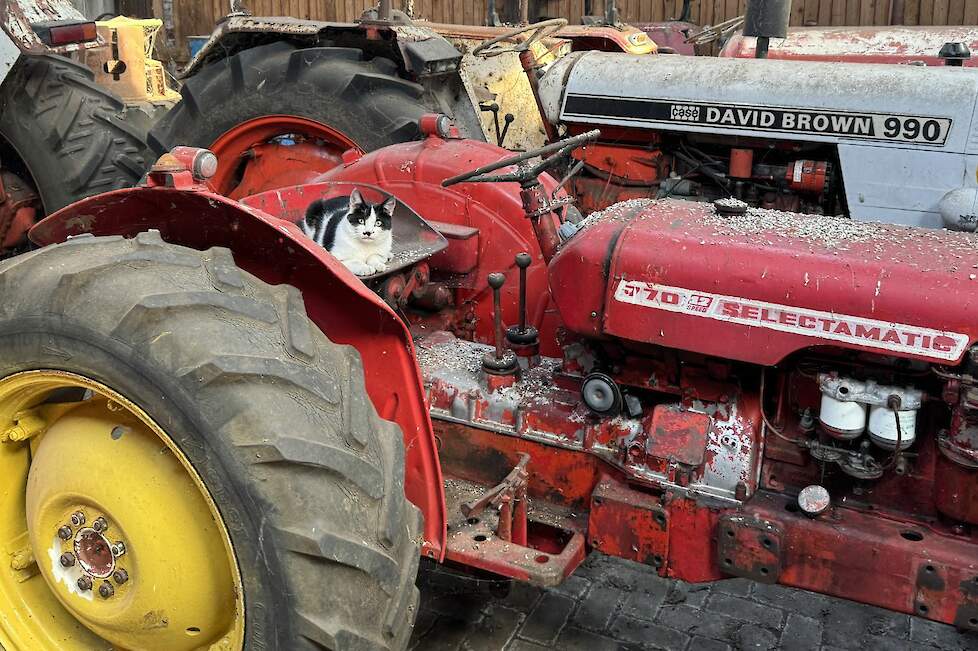 Deze 770 Selectamatic is de enige echte rode David Brown uit de verzameling.