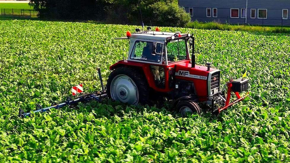 Massey Ferguson 590 met 12-rijer Gebr Plat schoffelbalk