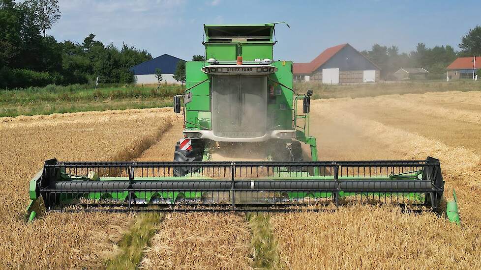 Wintergerst Dorsen | Deutz-Fahr TopLiner 8 XL | 2025