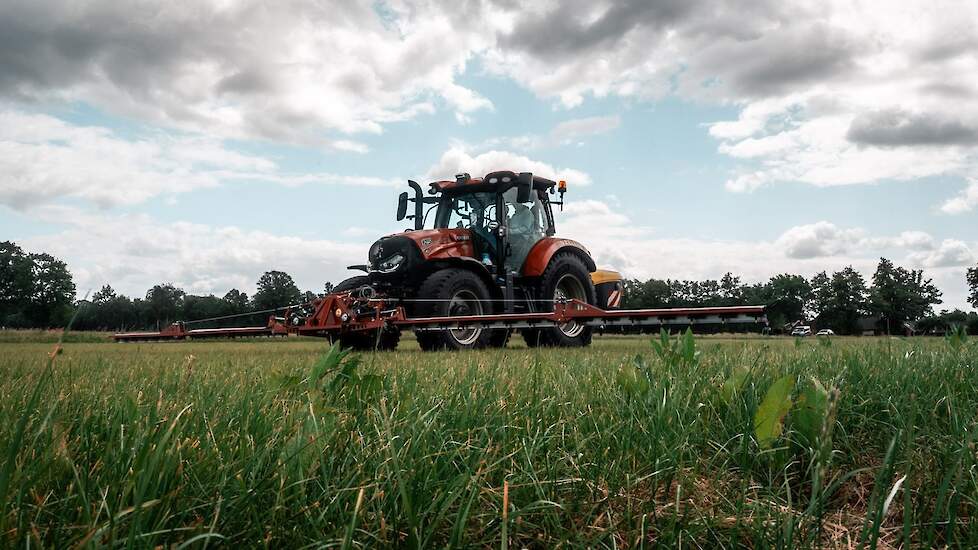 Ridderzuring spotspraying