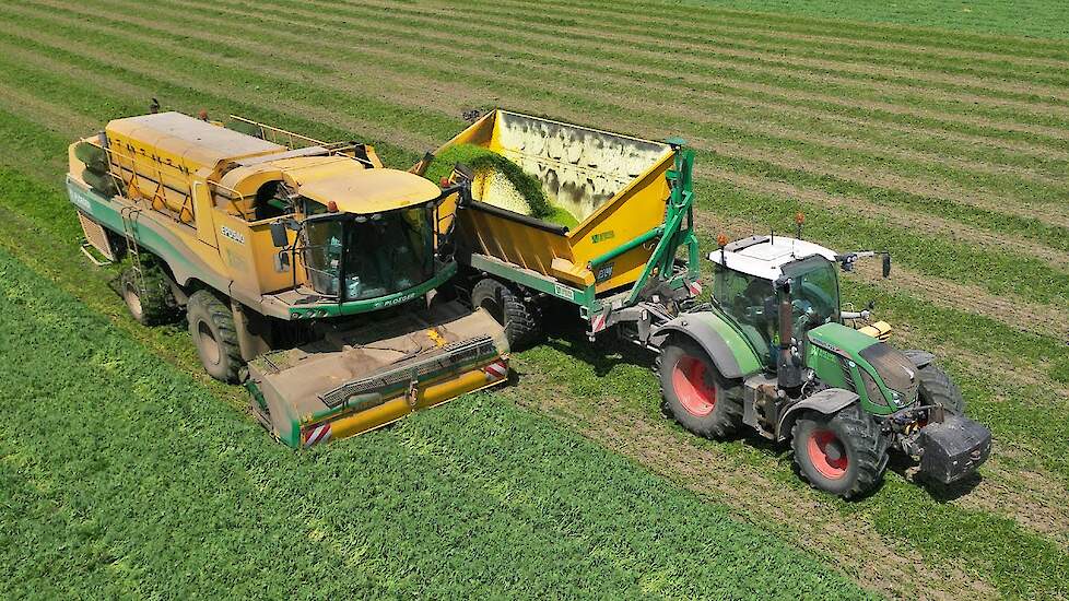 Erwten Dorsen | 3x Ploeger EPD 540 | Breure De Waard | 2025