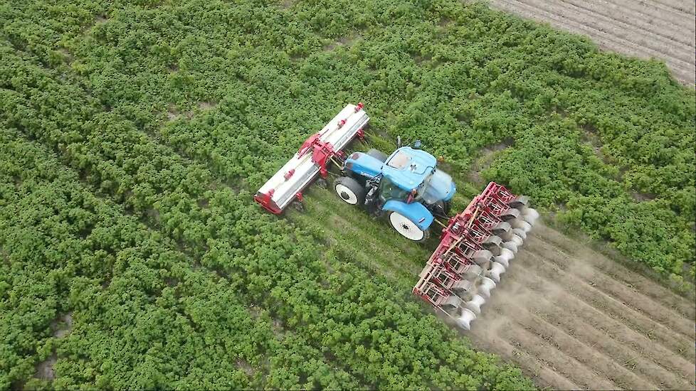 Primeur eerste Loofklapper en Looftrekker combinatie voor 8 rijen Kloppenburg Machinebouw