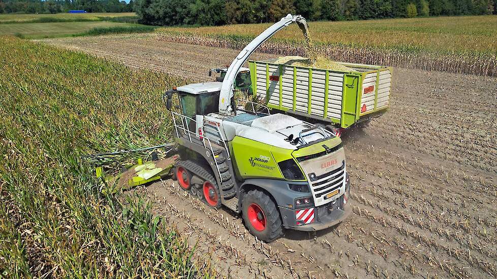 Mais Hakselen 2025 | Claas Jaguar 990 Terra Trac + Fendt + Volvo | Jennissen
