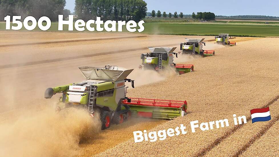 Harvest Day at the Biggest Arable Farm in The Netherlands | CLAAS Lexion 8900 | KMWP | Summer 2025