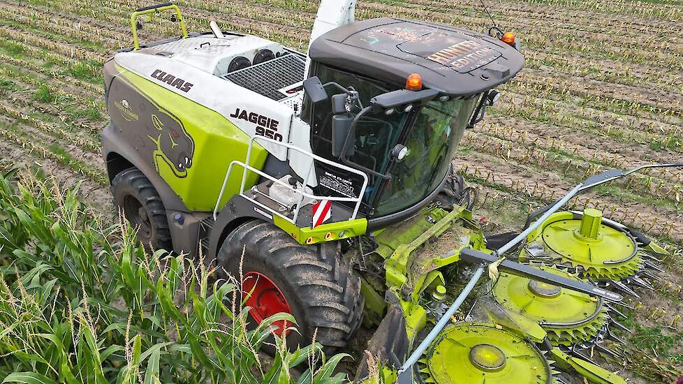 Mais Hakselen 2025  Claas Jaguar 950 | Case IH + Volvo | Pleizier & Timmer