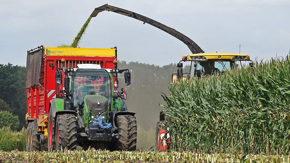 Mais Hakselen 2025 | New Holland FR500 + Fendt + John Deere | Johan Frens