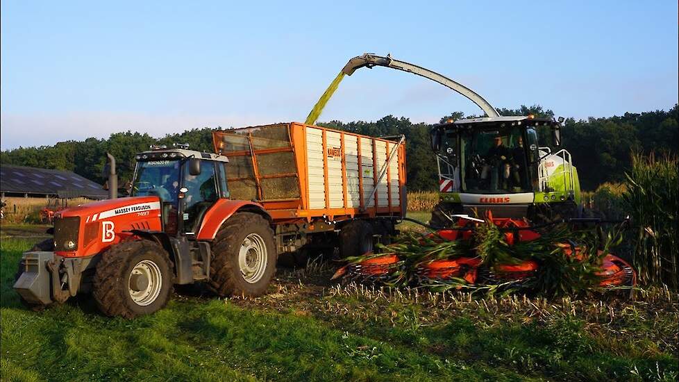 Mais 2025 | Claas | Massey Ferguson | Werklust WG18E | Boschloo Gorssel | Maishakselen | Kuilwerk
