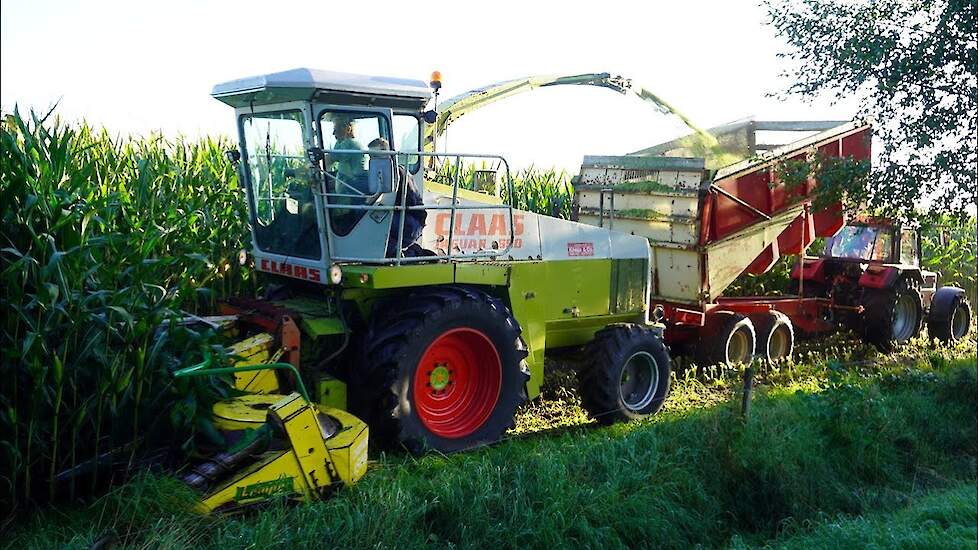 Mais 2025 | Claas Jaguar 690 | Case International | Fendt 510C | Kneus & Co Wekerom | Maishakselen