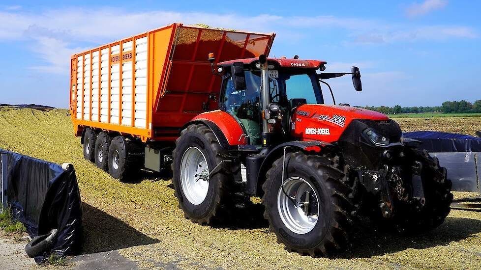 Mais 2025 | Claas Jaguar 980 | New BLW | 2x Case 721F | Case IH Puma | Rovers Boekel | Maishakselen
