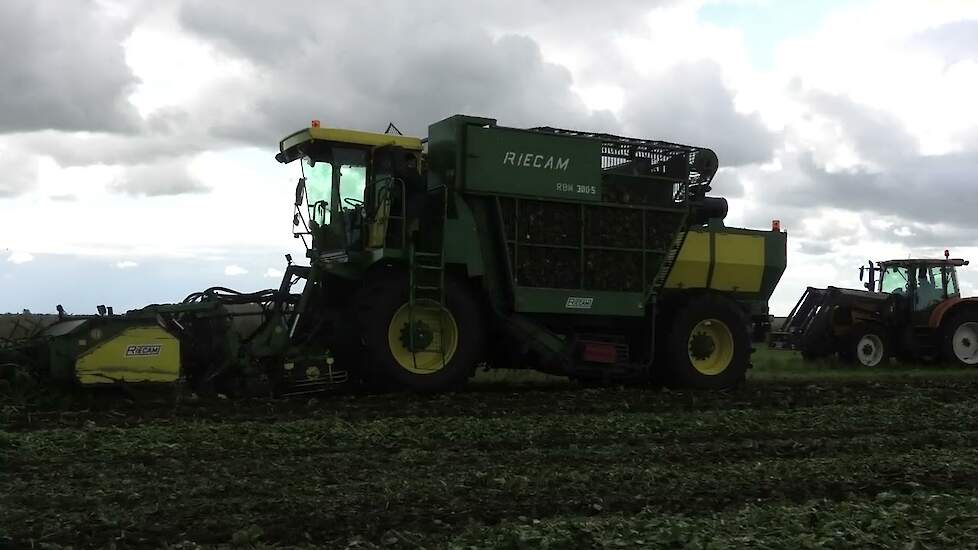 bietenrooien met riecam  RBM 300-5 met renault ares met exelsior kipper