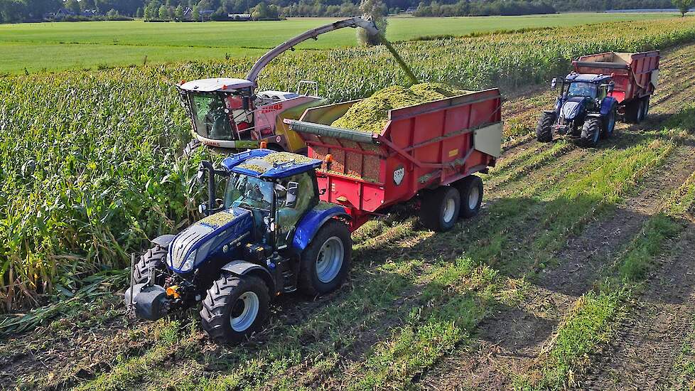 Mais Hakselen 2025 | Claas Jaguar 940 + New Holland + Valtra | Van Geresteijn & Brouwer