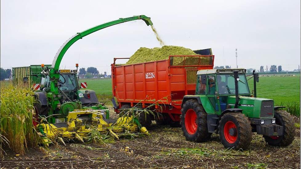 Mais 2025 | Fendt 612LSA-916-920 | Jansen Oldebroek & Olieman Zalk | Maishakselen | Mais silage