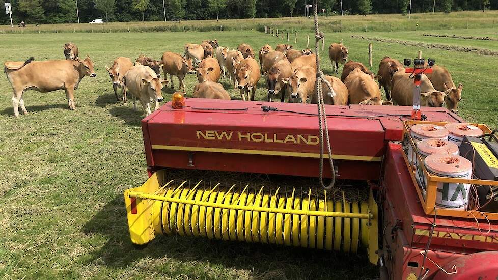 Hay baling New Holland 378  hayliner  Fendt 306 LS Turbomatik
