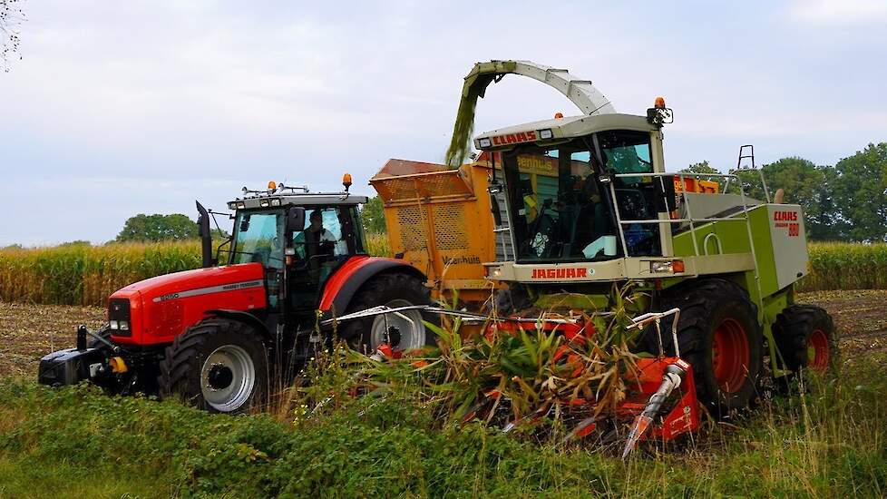 Mais 2025 | Claas Jaguar 880 | Deutz-Fahr | Ahlmann | Ten Voorde Beemte-Broekland | Maishakselen