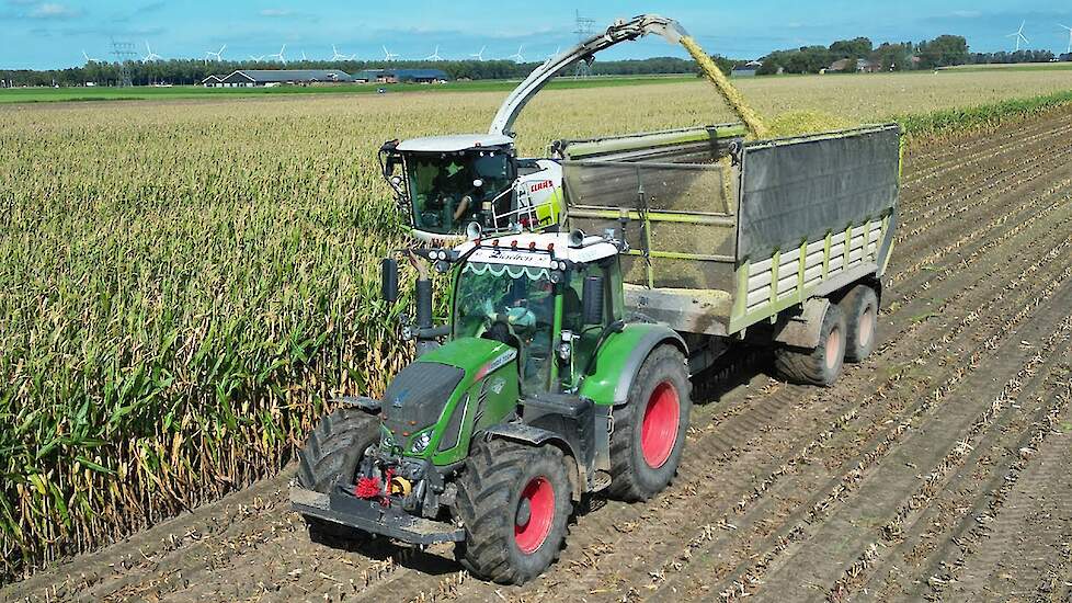Mais Hakselen 2025 | Claas Jaguar 960 + Fendt + Volvo | B. Hut
