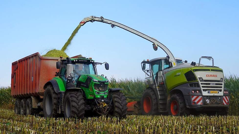 Mais 2025 | Claas Jaguar 980 (12 rows)| Deutz-Fahr Agrotron 8280 | Peters Haps | Maishakselen