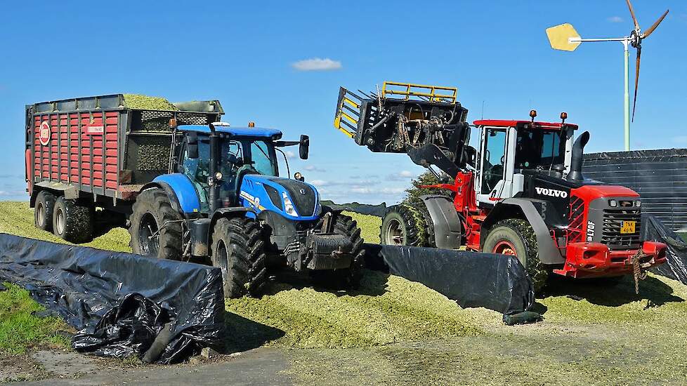 Mais Silage 2025 | Krone BiG X 680 + New Holland + Volvo | Hoekstra