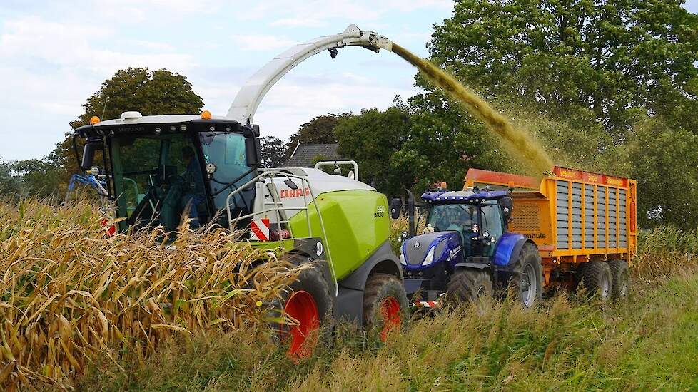 Mais 2025 | Claas | New Holland T7.245 | Fendt 720 | Panhuis Nijbroek | Maishakselen | Mais silage