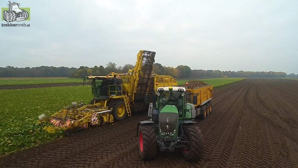 Suikerbieten rooidemonstratie Ropa Panther en de Ropa Euro Tiger in Brunstingerveld Trekkerweb