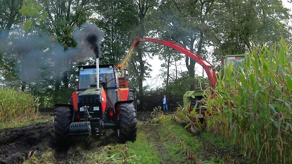 De allerlaatste maïs van 2025 door de pijp ?