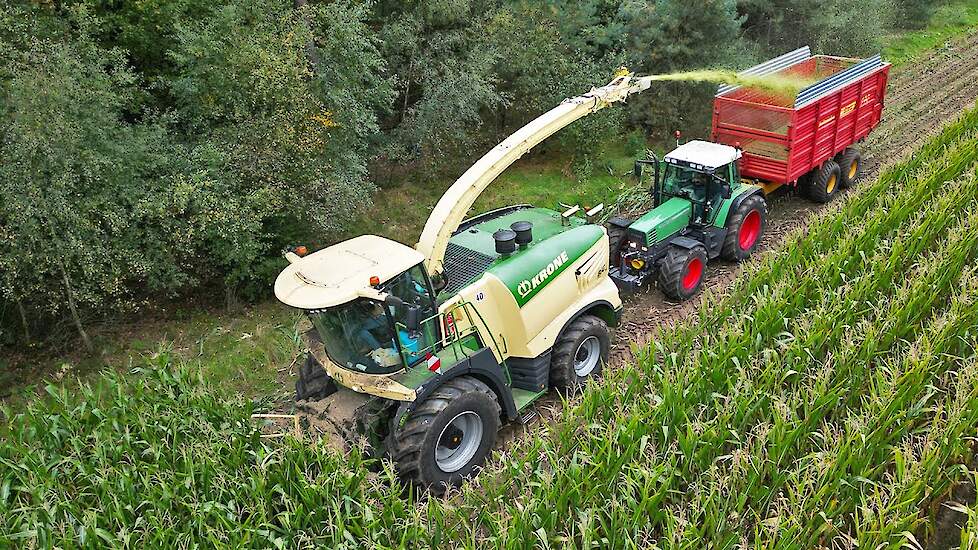 Mais Silage 2025 | Krone BiG X 780 | KWB Agri