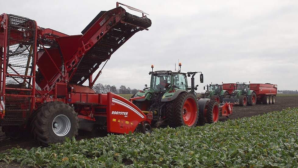 Grimme Rootster 604 6-rijig, 4-tons bunker, getrokken wagenrooier