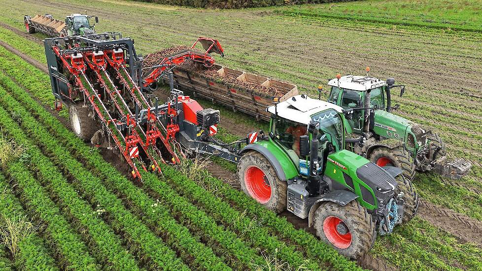 Harvesting Carrots | Fendt 620 w/ *NEW* Dewulf GK3 carrot harvester | Blitterswijk Agro
