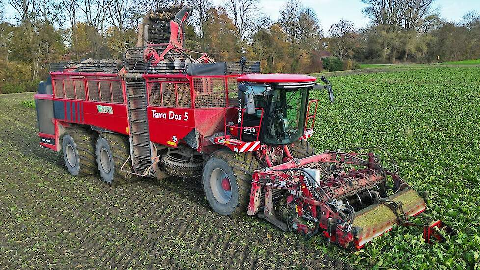 Harvesting Sugar Beets | Holmer Terra Dos 5-40 | Breure De Waard | 2025