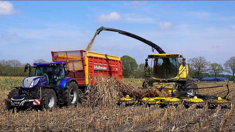 Mais 2025 | New Holland FR780(12 rows)+ T7.270 | Toonen Odiliapeel | Maishakselen | Mais silage