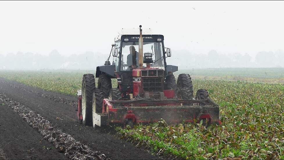 International 1255 Twee fasen bietenrooien Gilles en WKM