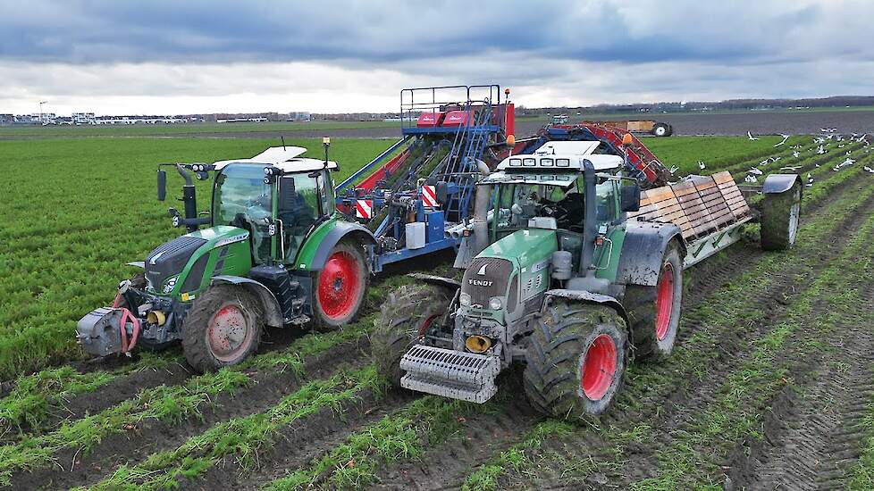 Harvesting Carrots | Fendt + Asa-Lift T-255 | 2025