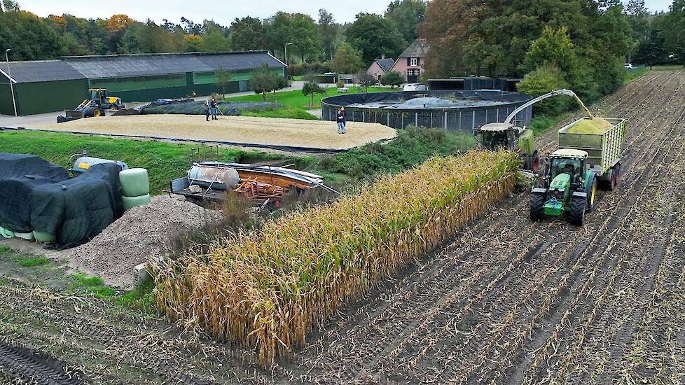 Mais Silage 2025 | Claas Jaguar + John Deere + Werklust | G. Tessemaker