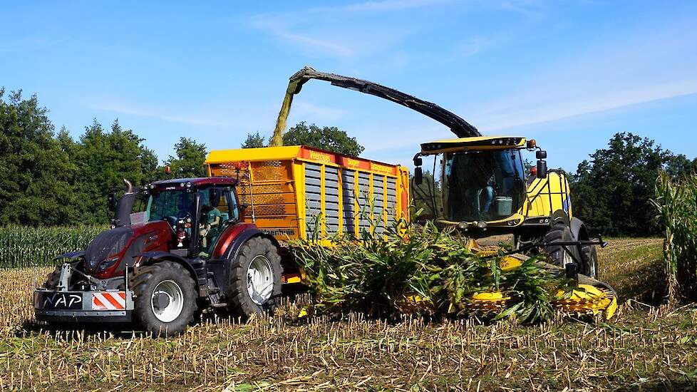 Mais 2025 | Valtra T254 | JCB 427 | New Holland FR550 | Nap/NLR Agri Ede | Maishakselen | Kuilwerk