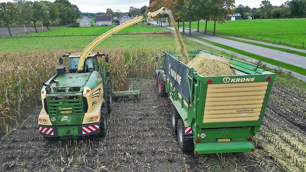 Mais Silage 2025 | Krone BiG X 780 | KWB Agri