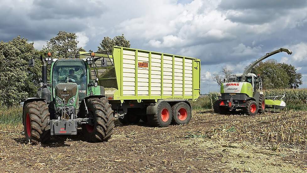 Mais Silage 2025 | Claas Jaguar + Fendt | Van Dijk