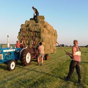 De Ford 3000 is volgens Vincent op zijn best als hij moet trekken, zoals hier een hooiwagen.