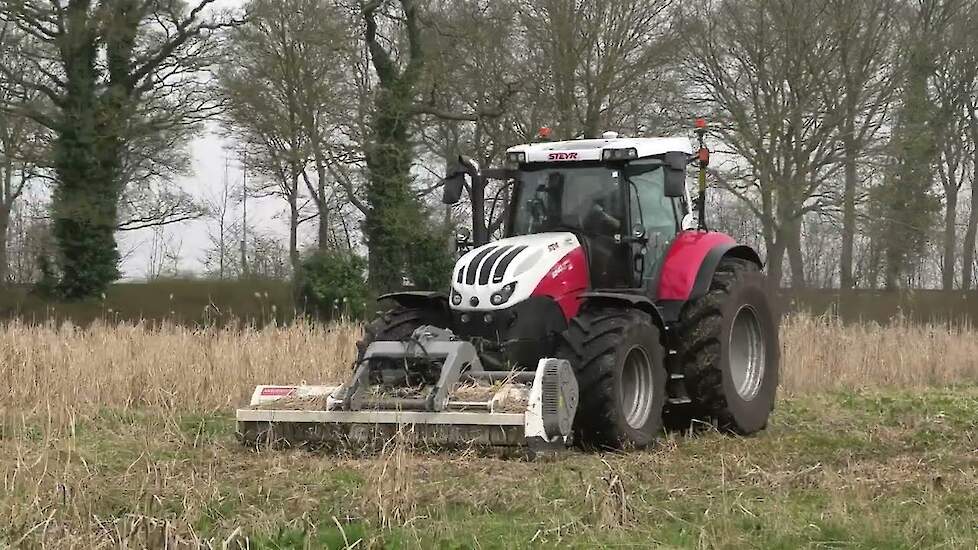 olifantgras klepelen met steyr 6240 cvt met aardenburg alpha xl 3000 front klepelmaaier