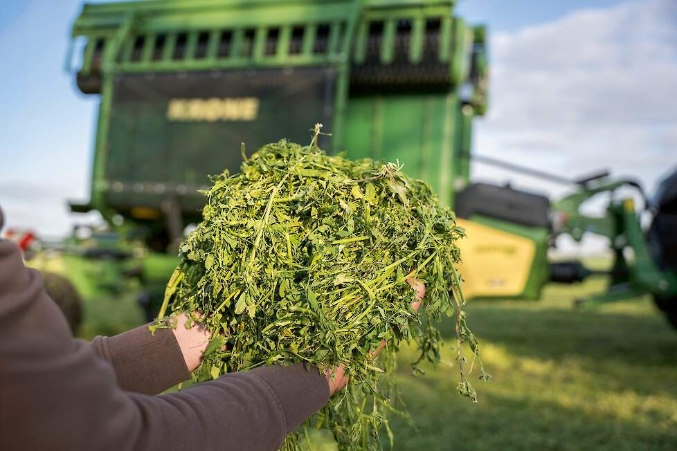 Krone Swativo T 1040 Pro_1 De als bandhark ontwikkelde Swativo T 1040 Pro onderscheidt zich door zijn hoge capaciteit en is door zijn voorzichtige manier van werken zeer geschikt voor het oogsten van gevoelige voedergewassen.